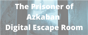 prisoner 
